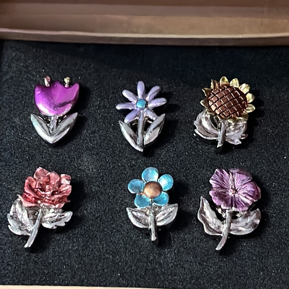 Set of Six Flower Push Pins from World Market in Original Packaging